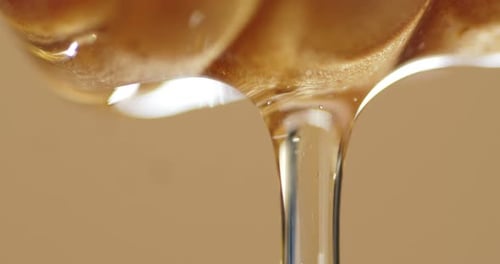 A Drop of Fresh Honey Falls From a Wooden Spoon.