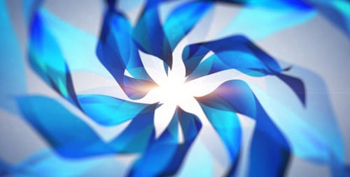 Clean Gentle Flower Logo Reveal