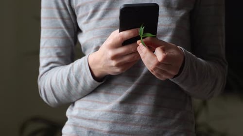 Phone in Hands with Green Plant