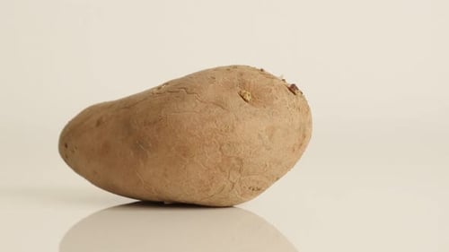 Potato Still Life on White Surface