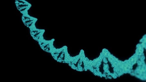 Abstract DNA Strand Disintegration into Glowing Particles
