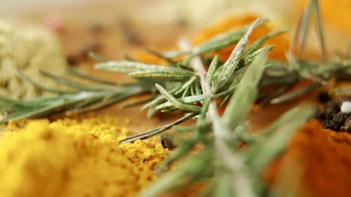Close up of Fresh Spices and Rosemary