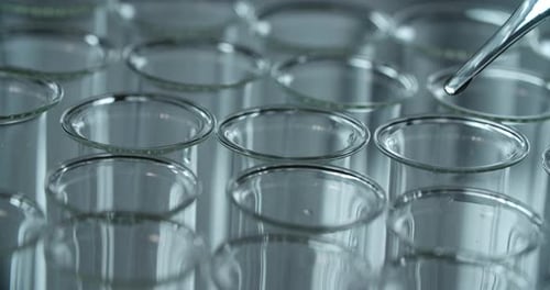 Glass Pipette In The Lab