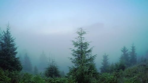 Sunrise in Mountain Valley with Rolling Fog