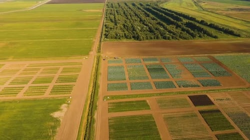 Vue aérienne des terres agricoles.