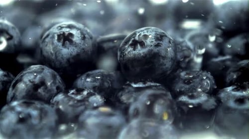 Fresh Blueberries with Glistening Water Droplets Close-Up