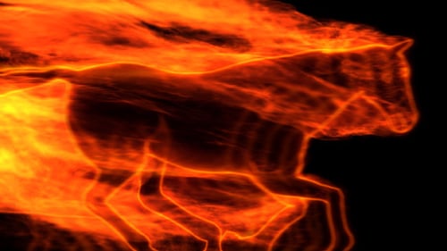 Fluid Fire Horse Transition Element