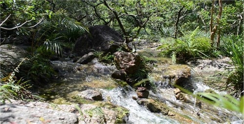 Stream 5