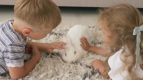 Children Petting a White Rabbit on a Rug