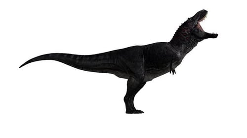 3D Animated Dinosaur Roaring and Walking Cycle
