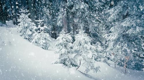 Schöner flauschiger Schnee auf Ästen