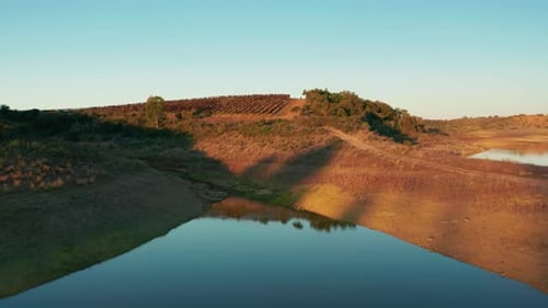 Scenic Aerial View of Vineyard and Lake