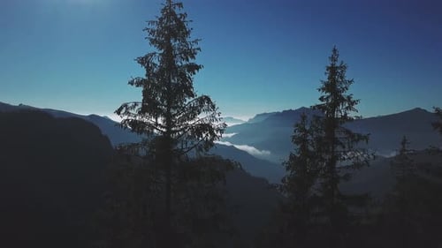 Landschaft mit dunklen Tannen und Alpental mit niedrigen Wolken am Horizont