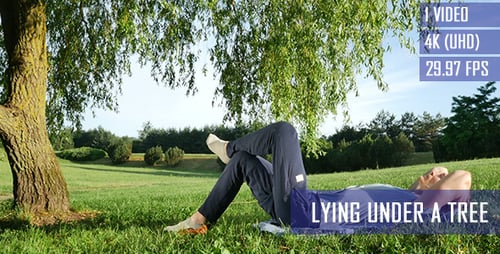 Man Lying Under A Tree