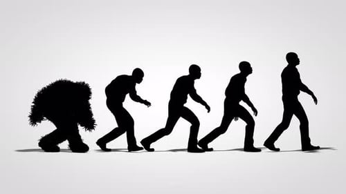 Human Evolution Animated Silhouettes Transition from Primate to Human
