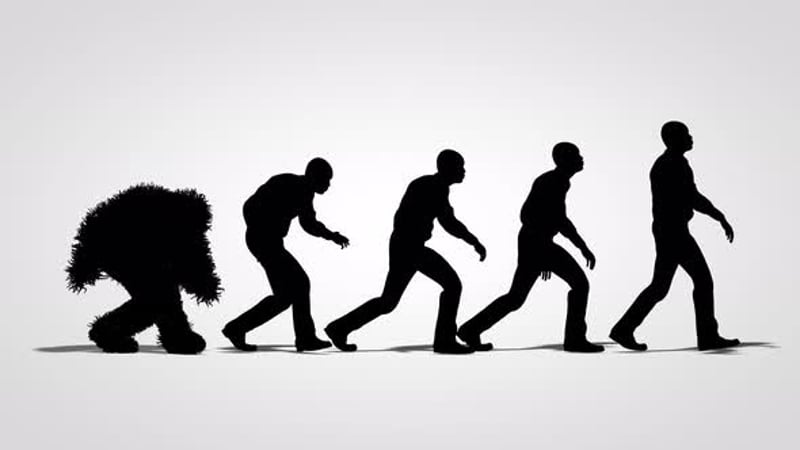 Silhouette of the theory of evolution of man - human development from ...