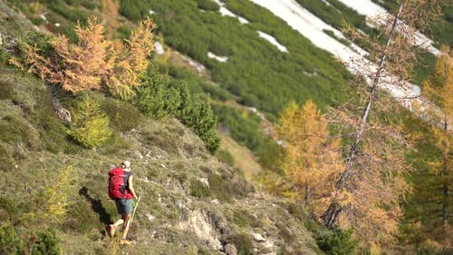 4K Rear View Sporty Mature Woman Hiking Alone in Autumn Mountain Landscape