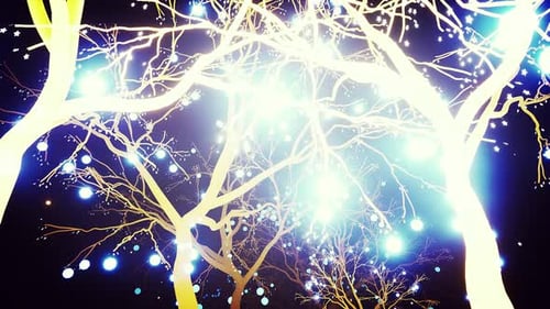 Glowing Trees At Night 4k