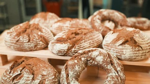 Different Shapes and Sizes of Fresh Traditional Sourdough Bread in the Bakery
