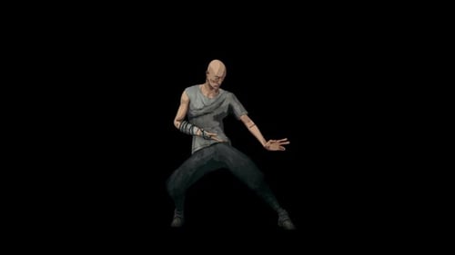 Stylized Martial Artist Performing Combat Training Animation