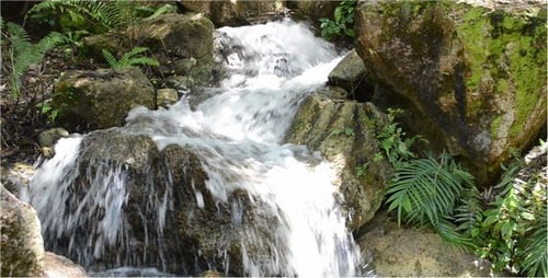 Stream 8