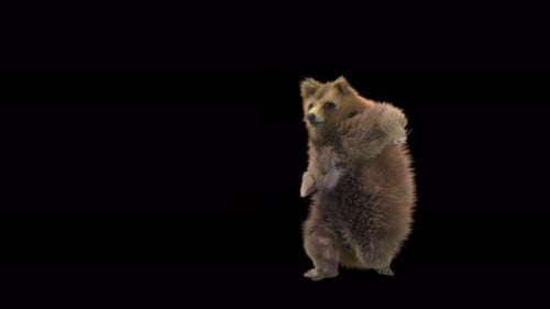 140 Bärentanz 4K