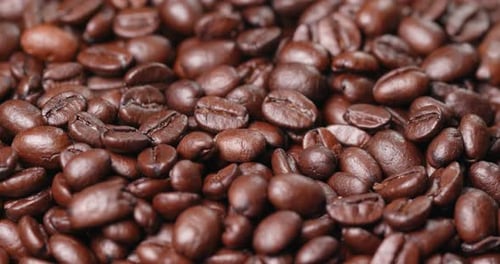 Roasted coffee bean