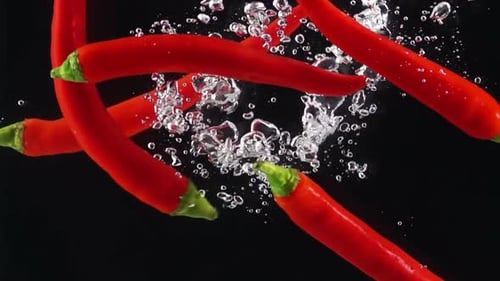 Red Chili Peppers Falling into Water