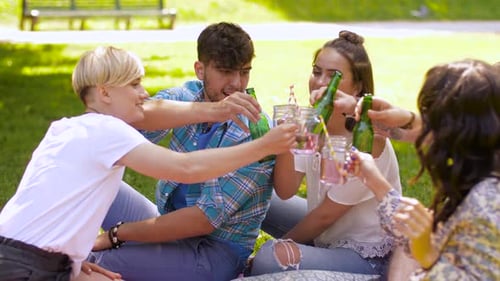 Des amis heureux qui tintent des boissons au parc d'été 16
