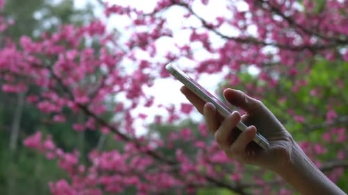 Touch Screen On Smartphone