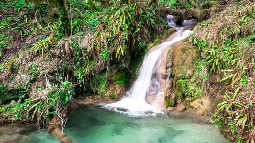 Waterfall in the Mountain Forest