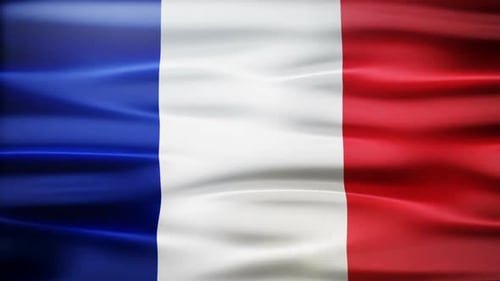 Realistic Waving French Flag Loop Background