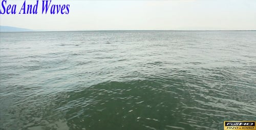 Sea