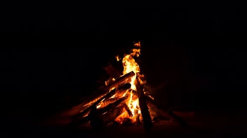 Camp Fire (4K)