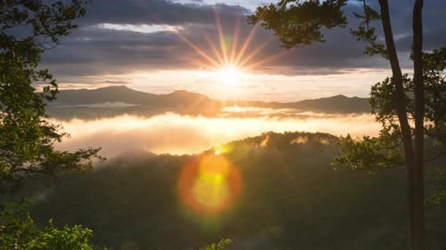 Aerial view Beautiful of morning scenery Golden light sunrise.