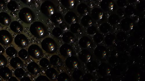 Macro Shot of Clear Water Droplets