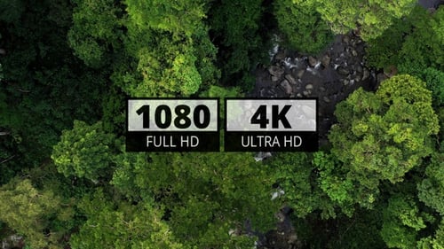 AH - Forest River 02