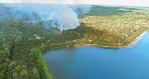 Ein Buschfeuer im Wald verbrannte Bäume, Rauch in der Nähe des Teiches