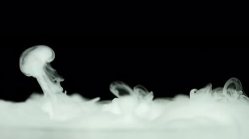 Ethereal White Smoke Swirling on Black Background