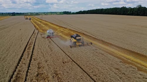 Agricultural Equipment On Field. Aerial view of combine in field of grain crops