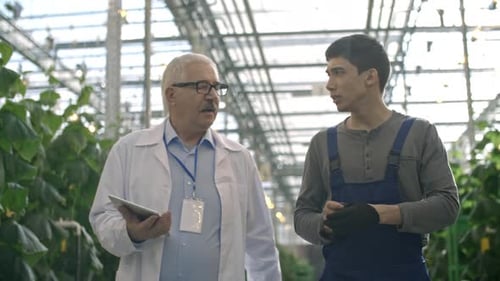 Men Walking and Talking in Greenhouse