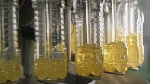 El
aceite de girasol en la botella avanza en la línea de producción.