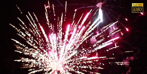 Fireworks Night