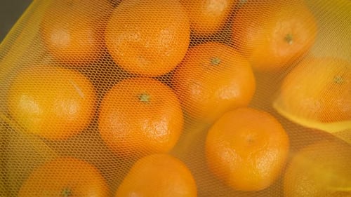 Healthy Oranges in a Mesh