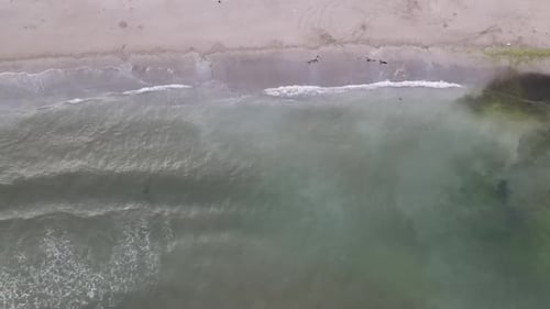 Ocean Waves Beach