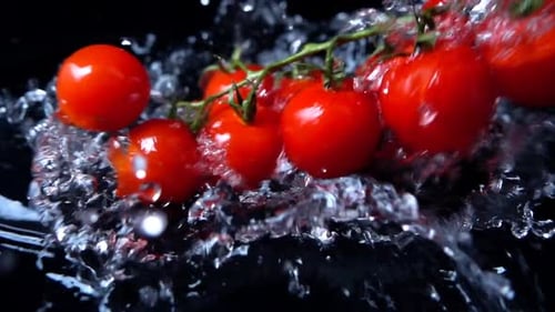 The Falling Cherry Tomatoes in Water