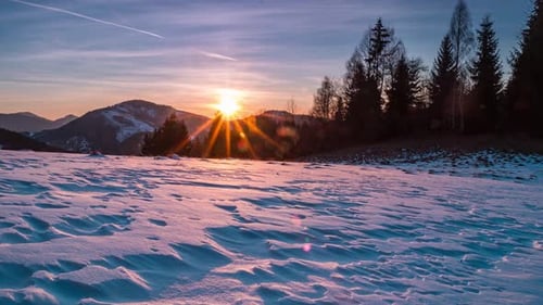 Beautiful Sunset Forest Winter Nature