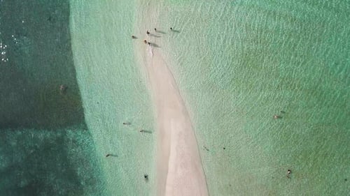 White Sand Tropical Beach