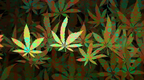 Fond de mouvement de feuille de cannabis psychédélique trippy