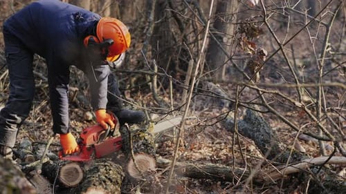 Worker cuts a felled tree trunk with a chainsaw